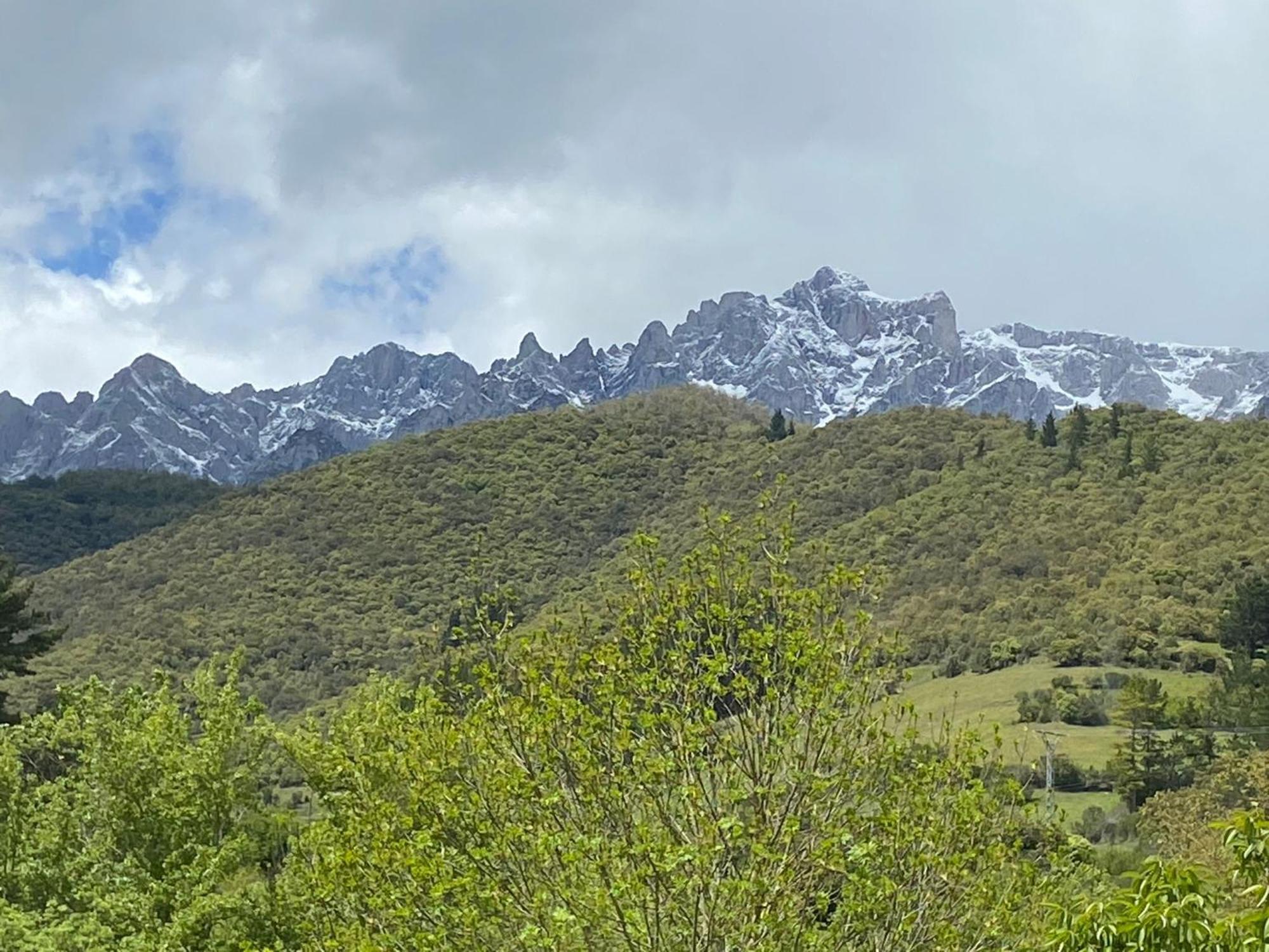 Picos De Europa Suites And Rooms Турьено Экстерьер фото