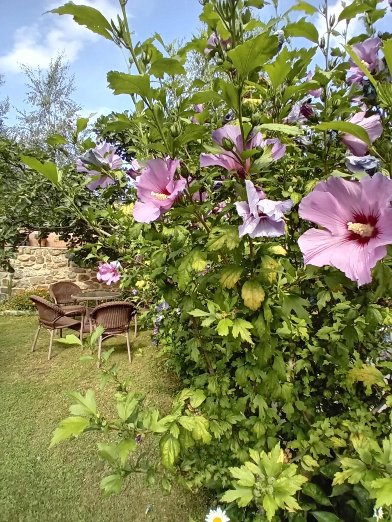 Picos De Europa Suites And Rooms Турьено Экстерьер фото